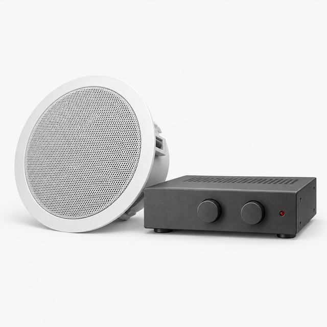 Ceiling speaker and compact audio amplifier